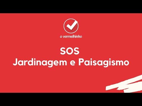 Vídeo