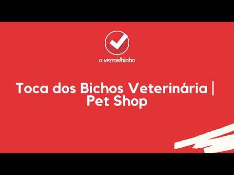 Vídeo