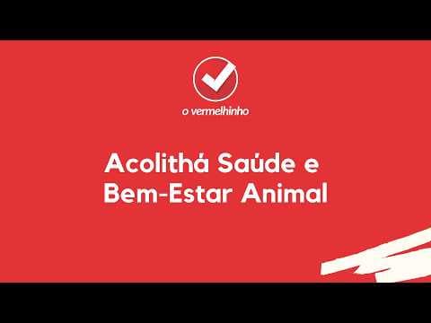 Vídeo