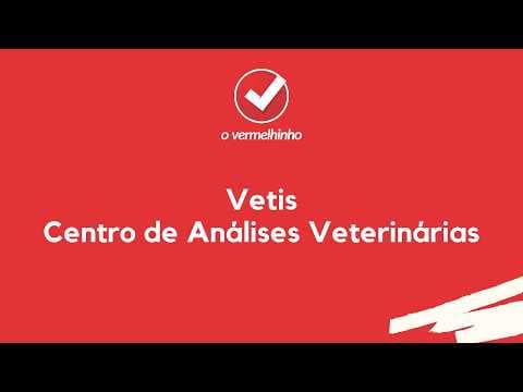 Vídeo