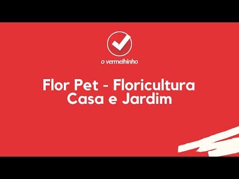 Vídeo