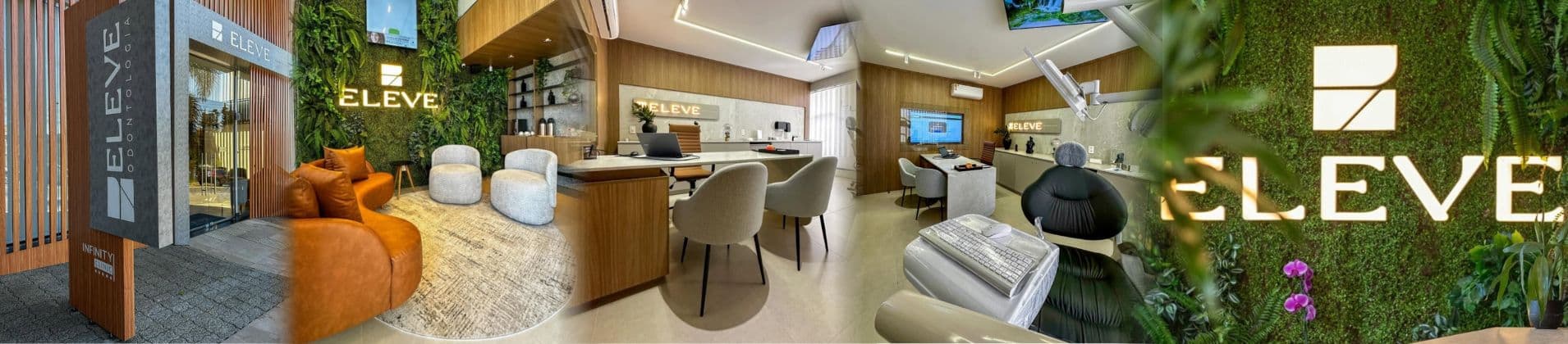 Eleve Odontologia